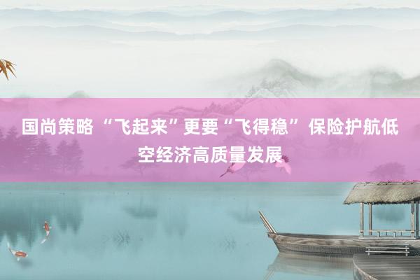 国尚策略 “飞起来”更要“飞得稳” 保险护航低空经济高质量发展