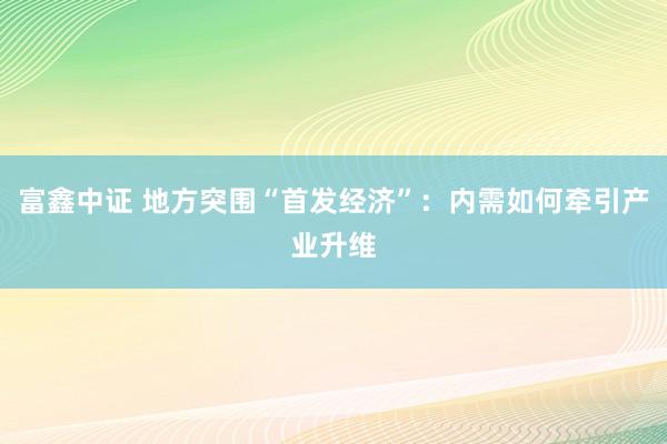 富鑫中证 地方突围“首发经济”：内需如何牵引产业升维