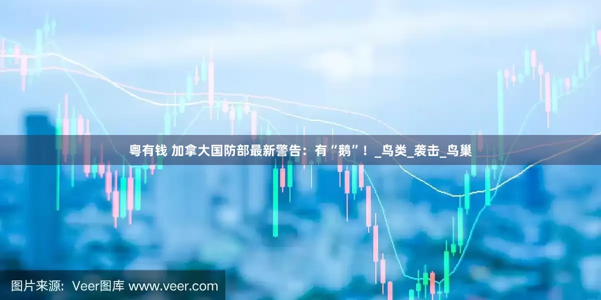 粤有钱 加拿大国防部最新警告：有“鹅”！_鸟类_袭击_鸟巢