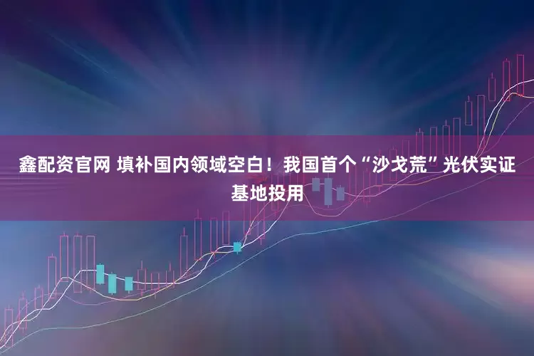 鑫配资官网 填补国内领域空白！我国首个“沙戈荒”光伏实证基地投用