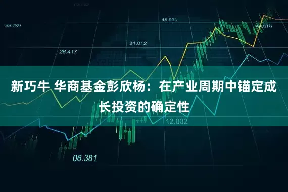 新巧牛 华商基金彭欣杨：在产业周期中锚定成长投资的确定性
